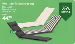 Leen Bakker Heel Veel Ligbedkussens aanbieding