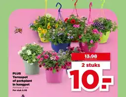 PLUS PLUS Terraspot of perkplant in hangpot aanbieding