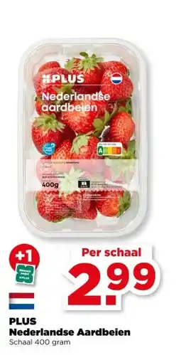 PLUS PLUS Nederlandse Aardbeien aanbieding
