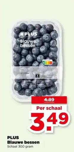 PLUS PLUS Blauwe bessen aanbieding
