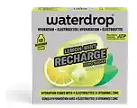 De Online Drogist Waterdrop Lemon-Mint Recharge Hydratation Cubes aanbieding