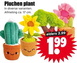 Dirk Pluchen plant aanbieding