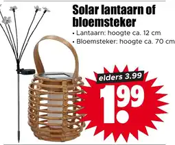 Dirk Solar lantaarn of bloemsteker aanbieding