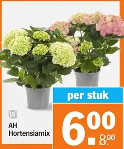 Albert Heijn AH Hortensiamix aanbieding