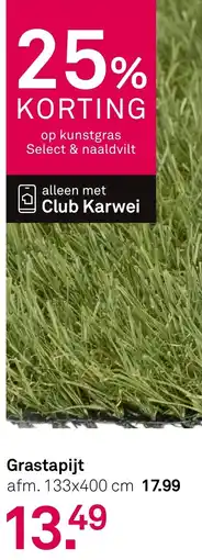 Karwei Grastapijt aanbieding