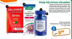 Trekpleister Hulp bij stress-situaties aanbieding