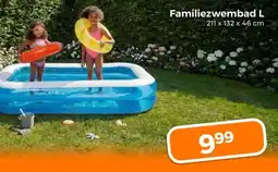 Trekpleister Familiezwembad L aanbieding