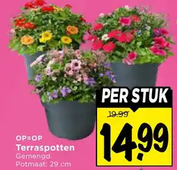 Vomar Voordeelmarkt Terraspotten Gemengd aanbieding