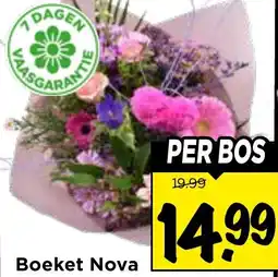 Vomar Voordeelmarkt Boeket Nova aanbieding