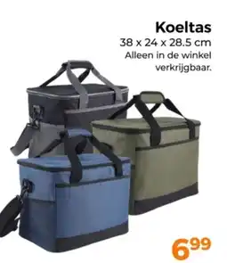 Trekpleister Koeltas aanbieding