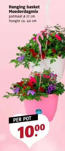 Poiesz Hanging basket Moederdagmix aanbieding
