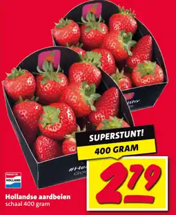 Nettorama Hollandse aardbeien aanbieding