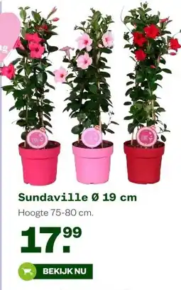 Welkoop Sundaville aanbieding