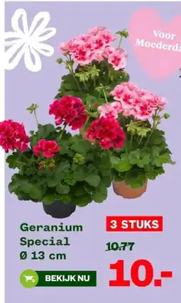 Welkoop Geranium Special aanbieding