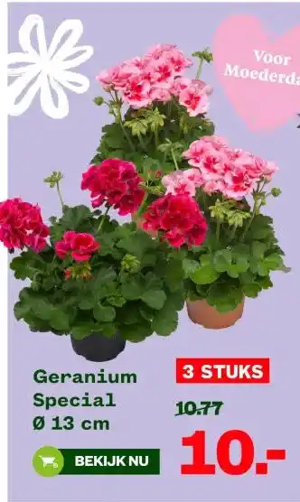 Geranium Special