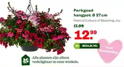 Welkoop Perkgoed aanbieding
