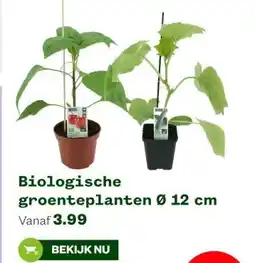 Welkoop Biologische groenteplanten aanbieding