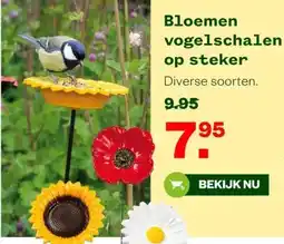 Welkoop Bloemen vogelschalen op steker aanbieding
