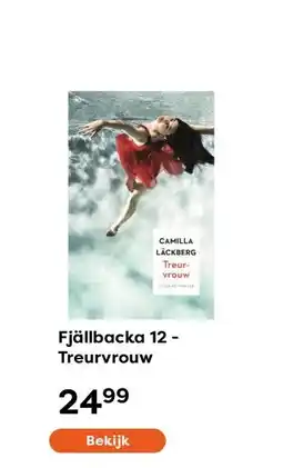 The Read Shop Fjällbacka 12 - Treurvrouw aanbieding