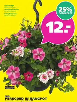 Ranzijn PERKGOED IN HANGPOT aanbieding