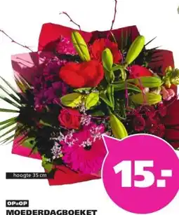 Ranzijn MOEDERDAGBOEKET aanbieding