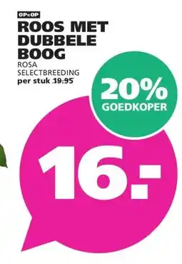 Ranzijn ROOS MET DUBBELE BOOG aanbieding