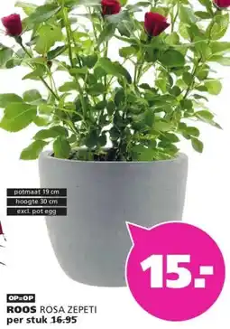 Ranzijn ROOS aanbieding
