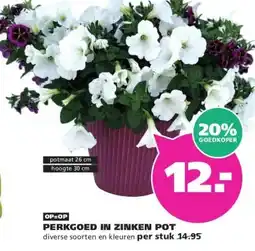 Ranzijn PERKGOED IN ZINKEN POT aanbieding
