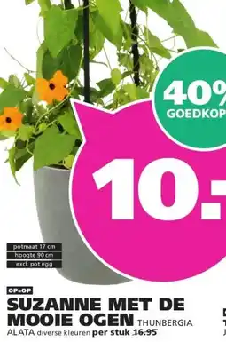 Ranzijn SUZANNE MET DE MOOIE OGEN aanbieding