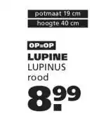 Ranzijn LUPINE aanbieding