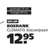 Ranzijn BOSRANK aanbieding