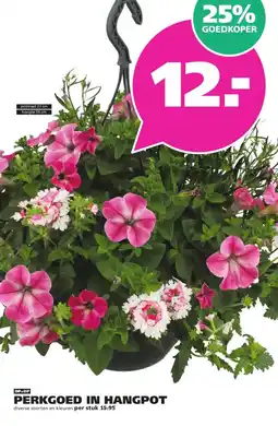 Ranzijn PERKGOED IN HANGPOT aanbieding