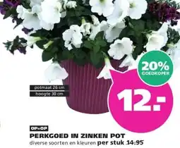 Ranzijn PERKGOED IN ZINKEN POT aanbieding
