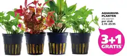 Ranzijn AQUARIUM- PLANTEN aanbieding