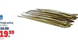 Makro Pondje paling aanbieding