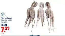 Makro Mini-octopus aanbieding