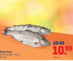 Makro Rode forel aanbieding