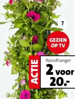 Intratuin Wandhanger met zomerbloeiers. aanbieding