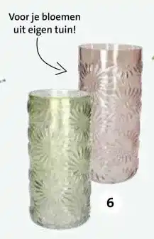 Intratuin Vaas Serina. aanbieding
