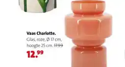 Intratuin Vaas Charlotte. aanbieding