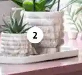 Intratuin Moederdagarrangement. aanbieding
