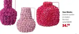 Intratuin Vaas Wooler. aanbieding