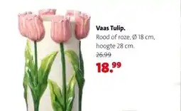 Intratuin Vaas Tulip. aanbieding