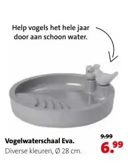 Intratuin Vogelwaterschaal Eva. aanbieding