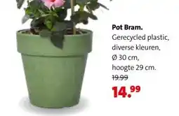 Intratuin Pot Bram. aanbieding