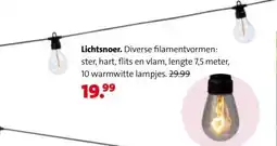 Intratuin Lichtsnoer aanbieding