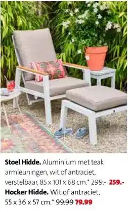 Intratuin Stoel Hidde. aanbieding