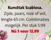 Intratuin Kunsttak Scabiosa. aanbieding