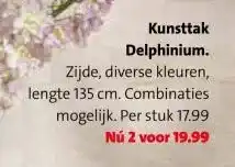 Intratuin Kunsttak Delphinium. aanbieding