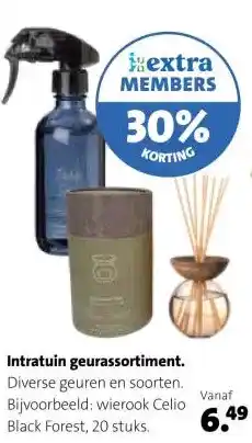 Intratuin Intratuin geurassortiment. aanbieding